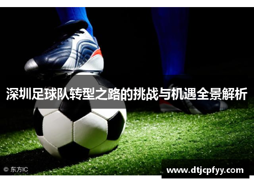 深圳足球队转型之路的挑战与机遇全景解析